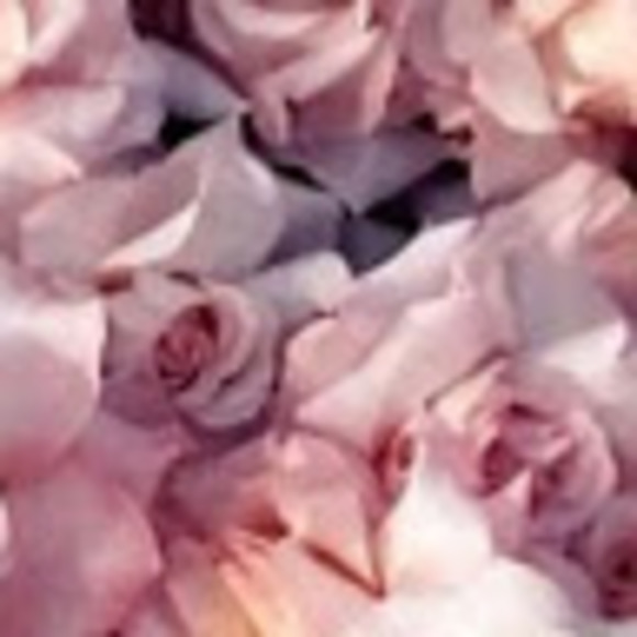 Meet your Posher, Amber - Picture 1 of 1